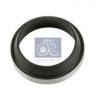 DT 1.24255 Shaft Seal, manual transmission